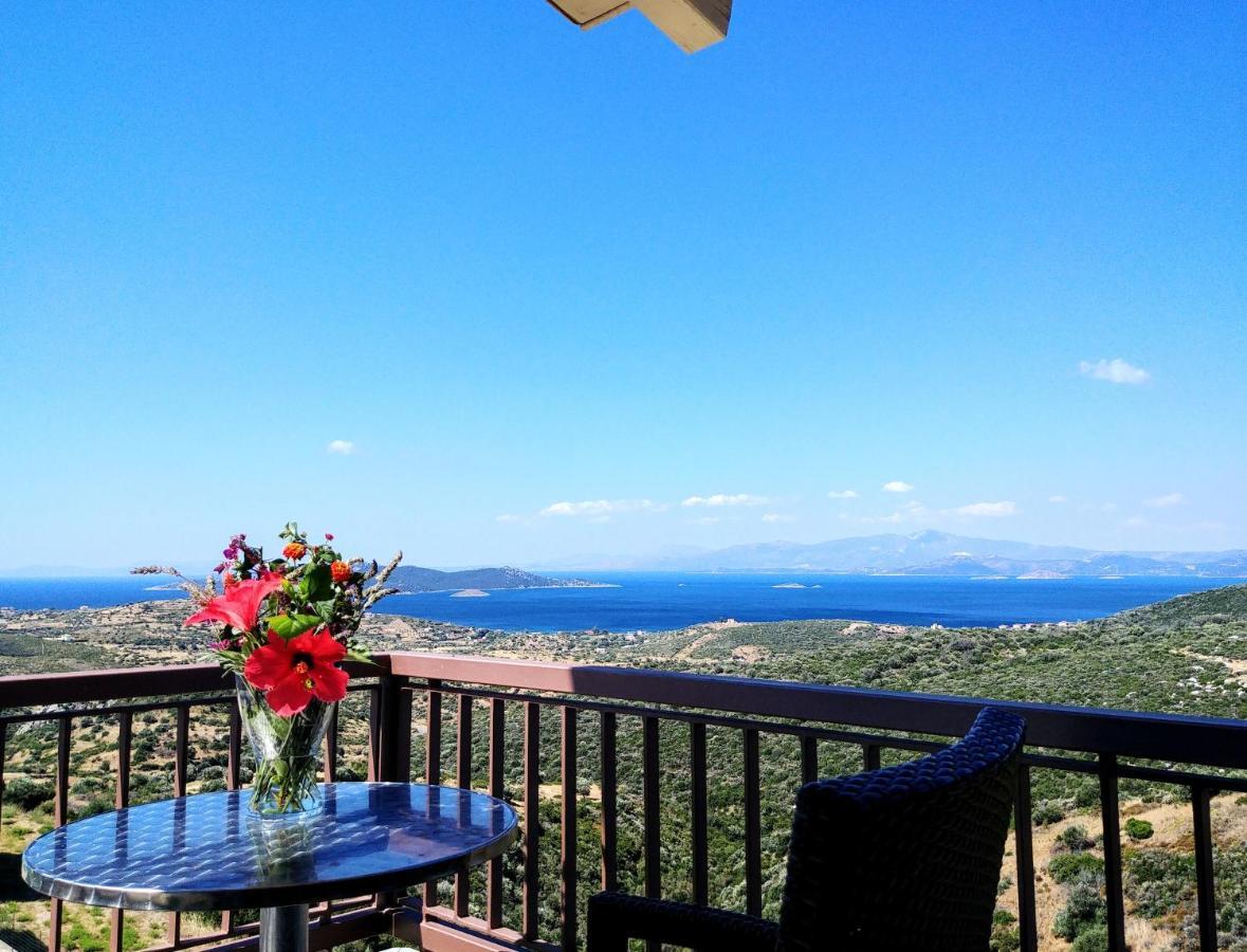 Apartment Golden Sea View *